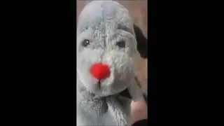 sweep looses his voice