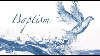 Wednesday Word 343 The Baptism Debate by Alistair Begg