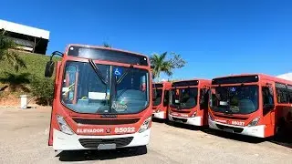 ENTREGANDO A FROTA OF 1519 MERCEDES-BENZ l MARCOPOLO TORINO 2019