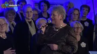 Concert Gospel Christmas Tehillim uit Nieuwleusen 2025