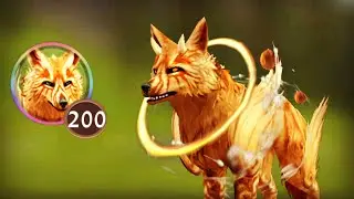 Level 200 Mate Wolf #shorts