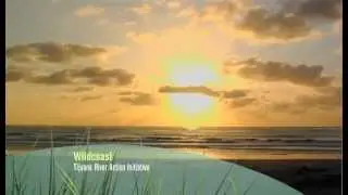Eco Ambassadors 2012: Wildcoast