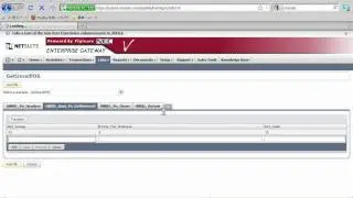 NetSuite-SAP Integration via the Enterprise Gateway