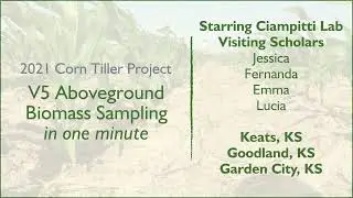 Aboveground Biomass Sampling: 1 Minute Protocol