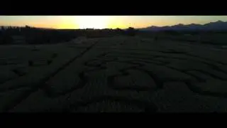 Field of Horrors | Coming Soon
