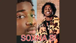Wally B. seck X VJ (SOXNA SI) instrument type afro beat