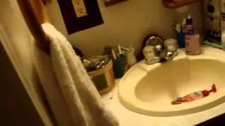 Bodiless cockroach...