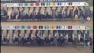 2016 Dash For Cash Futurity at Lone Star Park