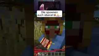 Fr die spawnen &uuml;berall😭🙏 #clip #minecraft #bastighg #twitchde