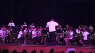 LMS Spring Instrumental Concert 2017