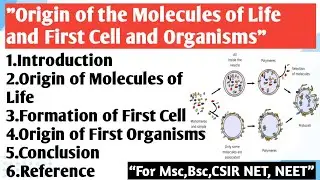 Origin of the Molecules of Life and First Cell and Organisms | Origin of the Molecules of Life