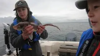 LaRoseBros Videos Premier Trailer