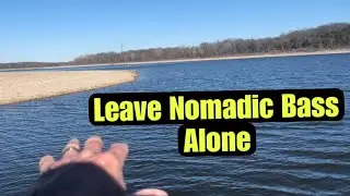 The Danger Livescope Poses To Nomadic Bass In Our Lakes…