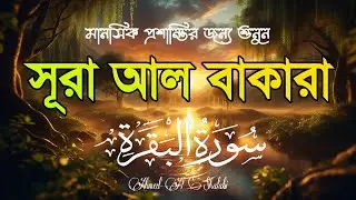 ঘরে শান্তি, নিরাপত্তা ও বরকতের জন্য শুনুন সূরা আল-বাকারা | Quran Recitation by ahmed al shalabi