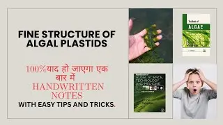 Fine structure of ALGAL PLASTIDS MSC 1ST SEM#msc#bsc#phd 