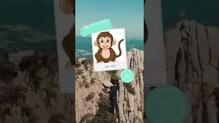 Funfact about monkey - Learn Vietnamese #short