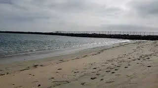 NWS Seal Beach