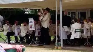 Something Stupid (arr. Fernie)