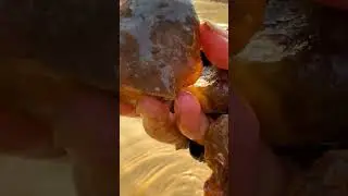 Finding Natural Carnelian And Agate Gemstones By Mining Hand In River #mining #quartz #crystals