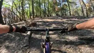 Angwin, PUC Forest, Slackline Maze Middle Z/South Ridge Trails