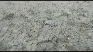 PADMAMALA