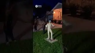 Animal Battle: Animated Halloween Decorations🧟&zwj;♂️#funny #ai #aistory #aivideo #popular #shortsfeed