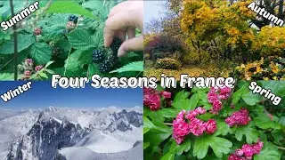 Four  Seasons in France || Beautiful Summer, autumn, winter and spring .
