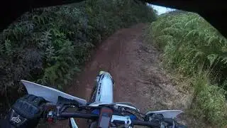 #mxf 250 ts 2t
