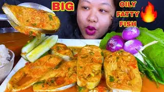 EATING OILY FATTY FISH MUKBANG🔥SPICY OILY FISH CURRY MUKBANG ASMR 