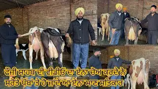 29 January 2026 ਫੋਨ 98141-78121 👈 6-7 ਗਾਂਵਾ ਵਿਕਾਊ ਫੋਜੀ ਸਾਹਬ ਕੋਲ ਘੈਂਟ-ਘੈਂਟ ਗਾਂਵਾ ਵਿਕਾਊ 