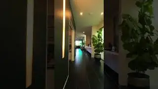 11 Addison Avenue, Bulimba | Place Estate Agents | Brisbane Real Estate For Sale