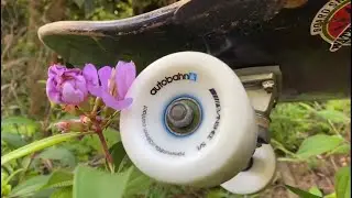 Hakim Ghafar || Autobahn Banshee Wheels
