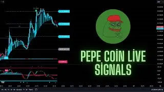 Live 24/7 Pepe Coin 5-Minute Best Trading Signals (Section From Live Broadcast)