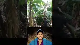 😂😂#react #reactchannel #trending #viral #shortvideo #shorts @UserNikhil-f3x🔥