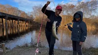 CAUGHT A NEW SPECIES FISHING UNDER THIS BRIDGE!!! 
