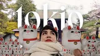 Mi 2do d&iacute;a en TOKIO SOLA: Gotokuji Temple + HAUL de Daiso y Don Quijote 🛍️✨