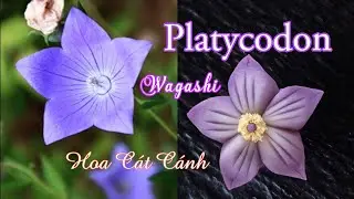 How To Make The Kikyo flower Nerikiri Wagashi