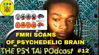 The Psy TAi Podcast #12 (FMRI SCANS &LSD ,Psilocybin)
