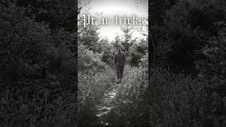 Still vibing ⚡️⚡️ #music #altindiealternative #psych #indie #alt #folk #tunes #pranatricks