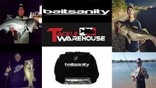 BAITSANITY TE9 SWIMBAIT (CAST TO CATCH)
