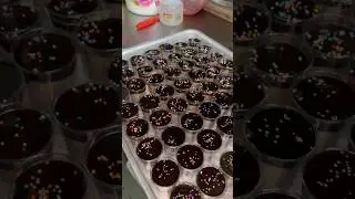100 pic ka order h chocolate pudding cake #cake #chocolatecake #shortsfeed ##dessert #foodie #food