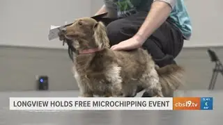City of Longview holds free pet care, microchipping event