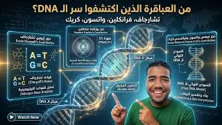 The Discovery of DNA Structure Explained | From Chargaff to Franklin, Watson & Crick.