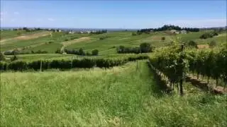 VIDEO RUSTICO R 10393