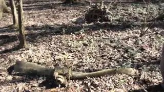 Museum of Aviation search 1947 crash site
