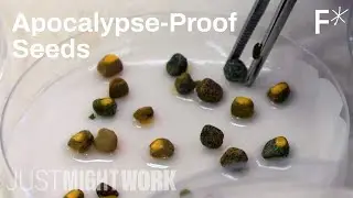Preventing the 2035 food catastrophe | Just Might Work