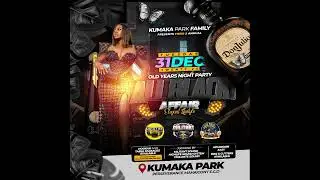 VIGILANTE SOUND (DJ SHORTBOSS X SEL SHEM) LIVE @ KUMAKA PARK OLD YEARS NIGHT - AUDIO