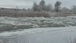Opactwo Cystersów w Lądzie–Starorzeczne Kolano (początek: Lądek) 07