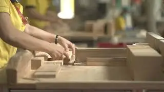 Timber cutting line in a wood factory