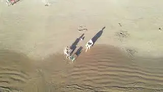 Drone Praia de UBU Anchieta ES - DJI NEO E MAVIC AIR 2 - 4K ULTRA HD HDR VIDEO 